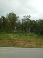 56 Swan, Green Forest, AR 72638 