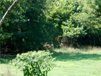 CR 706, Green Forest, AR 72638 