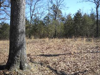 20030 Horshoe Bend Rd, Lead Hill, AR 72644 