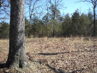 20030 Horshoe Bend Rd, Lead Hill, AR 72644 
