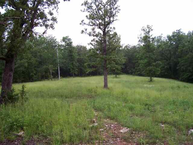 Lot 2 Homestead Lane, Lead Hill, AR 72644 