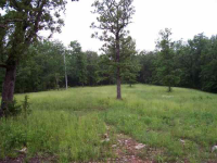 Lot 2 Homestead Lane, Lead Hill, AR 72644 