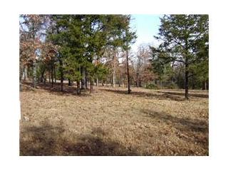 Elm, Lead Hill, AR 72644 