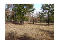 Elm, Lead Hill, AR 72644 