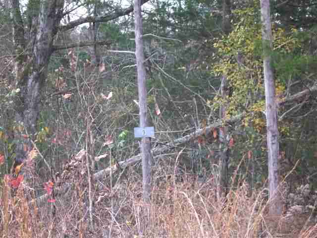 Lot 9 Rain Harbor Drive, Lead Hill, AR 72644 