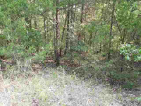 Lts 34 &amp; 35 Mc 2082, Lead Hill, AR 72644 