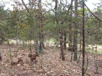 Elm Street, Lead Hill, AR 72644 