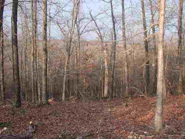 Lt 17, Pt Lt 11 Cr 792, Midway, AR 72651 