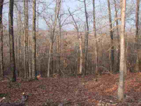 Lt 17, Pt Lt 11 Cr 792, Midway, AR 72651 