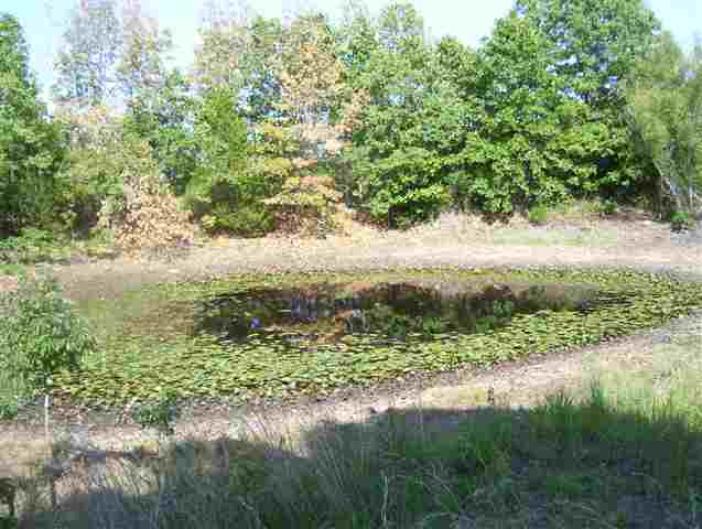 3282 Cr 69, Mountain Home, AR 72653 