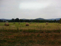 000 Connector Road, Mountain Home, AR 72653 