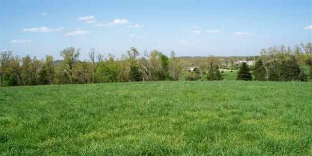 00 Stonewood Lane, Mountain Home, AR 72653 