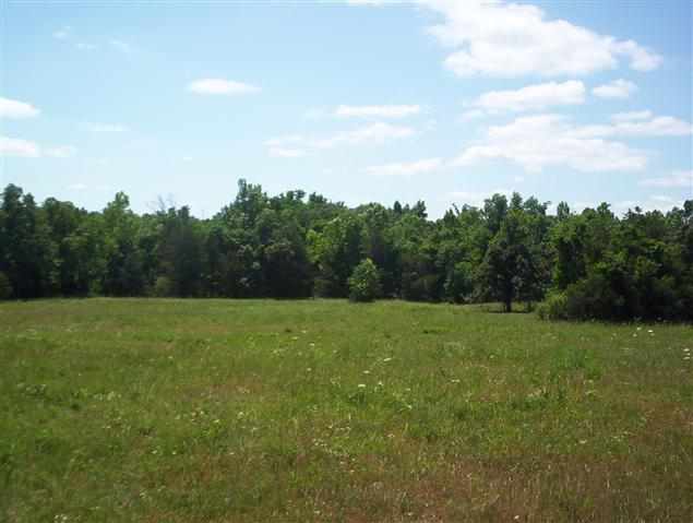 Lots 3 &amp; 4 Summerwind Court Ct, Mountain Home, AR 72653 