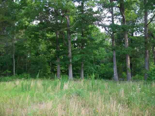 000 Hwy 62 East, Mountain Home, AR 72653 