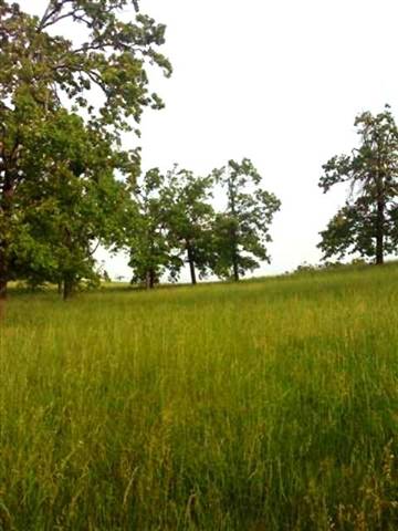 Tract A Oak Valley Lane Ln, Mountain Home, AR 72653 