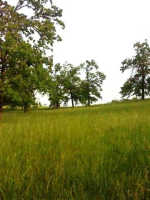 Tract A Oak Valley Lane Ln, Mountain Home, AR 72653 