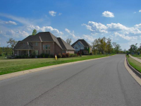 Lot 49 Sheeks Drive Dr, Mountain Home, AR 72653 