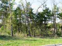 Lot 10 1st Street St, Mountain Home, AR 72653 