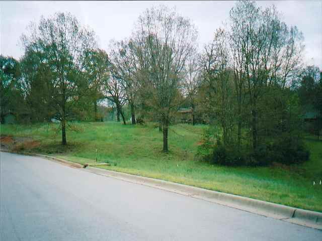 Lot 10 &amp; 11 Bruin Court Ct, Mountain Home, AR 72653 