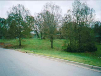 Lot 10 &amp; 11 Bruin Court Ct, Mountain Home, AR 72653 