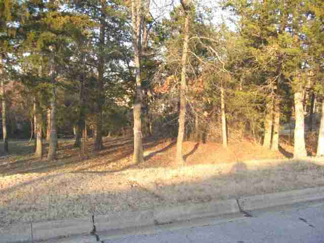 Lot 9 Leatherwood Drive, Mountain Home, AR 72653 