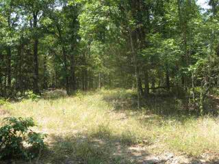Lot 36 Cr 1434, Mountain Home, AR 72653 