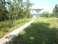 Lot 32 Buzzard Roost Road Rd, Mountain Home, AR 72653 