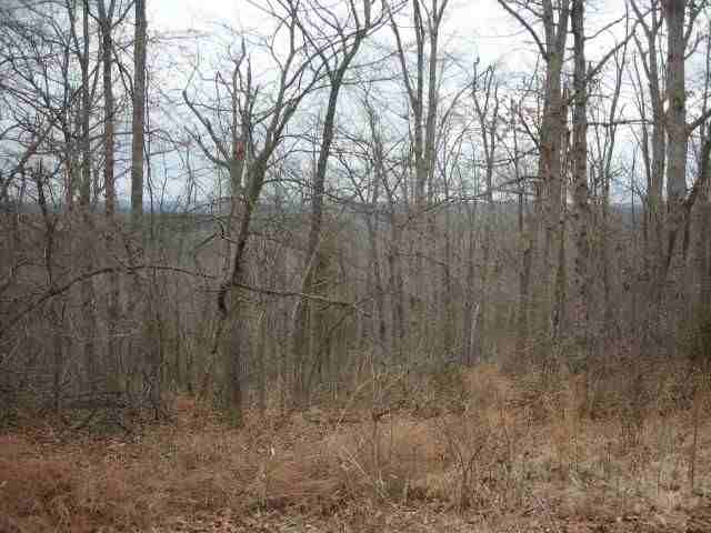 Lot 303 Baypoint Drive Dr, Mountain Home, AR 72653 