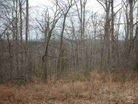Lot 303 Baypoint Drive Dr, Mountain Home, AR 72653 
