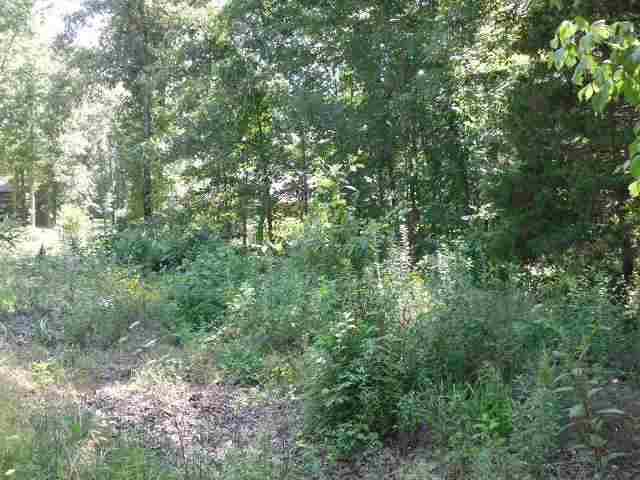 Lt 12 Pebblecreek Drive, Mountain Home, AR 72653 