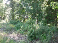 Lt 12 Pebblecreek Drive, Mountain Home, AR 72653 