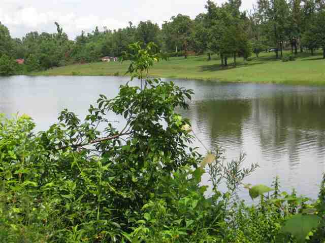Lot 7 Spring Lake Drive, Mountain Home, AR 72653 