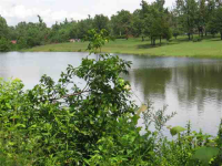 Lot 7 Spring Lake Drive, Mountain Home, AR 72653 