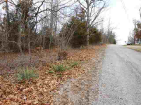 Lts 36,38,39 Cr 295, Mountain Home, AR 72653 