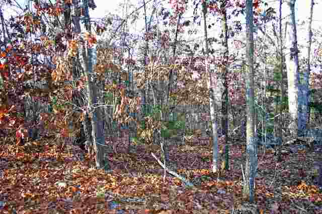 Lot 10 &amp; 11 Blackjack Trail Trl, Mountain Home, AR 72653 