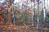 Lot 10 &amp; 11 Blackjack Trail Trl, Mountain Home, AR 72653 