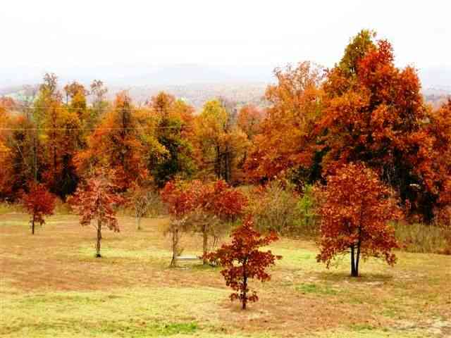 Lot 10 Oak Summit Drive, Mountain Home, AR 72653 
