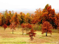 Lot 10 Oak Summit Drive, Mountain Home, AR 72653 