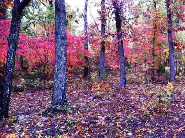 Lot 13 Lexington Drive Dr, Mountain Home, AR 72653 