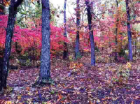 Lot 13 Lexington Drive Dr, Mountain Home, AR 72653 