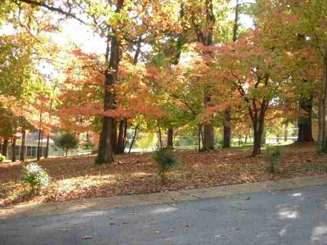 Lot 177 Hillside Circle Cir, Mountain Home, AR 72653 