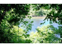 00 Russ Road, Norfork, AR 72658 