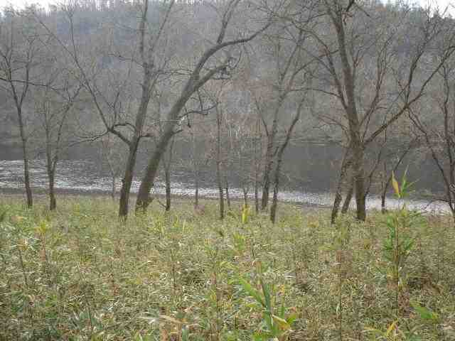 Off Lodge Lane, Norfork, AR 72658 