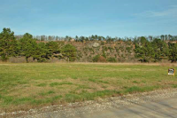 405 Cr 101, Norfork, AR 72658 