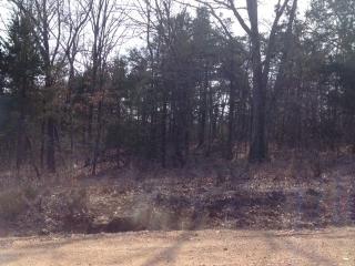 Polite Road, Omaha, AR 72662 