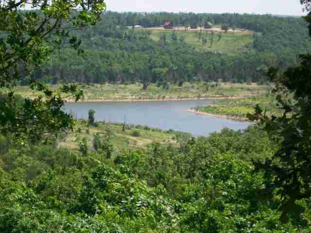 45 Cedar Bluff Lane, Peel, AR 72668 