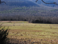 2060 Browntown Spring Rd, Witts Springs, AR 72686 