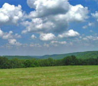 00 Mc 8001, Yellville, AR 72687 