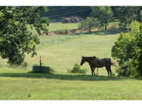 12036 PUNKIN HOLLOW RD, Bentonville, AR 72712 