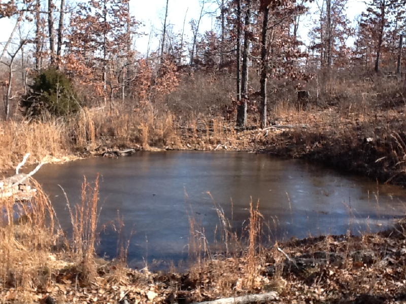 RR, Mammoth Spring, AR 72554 